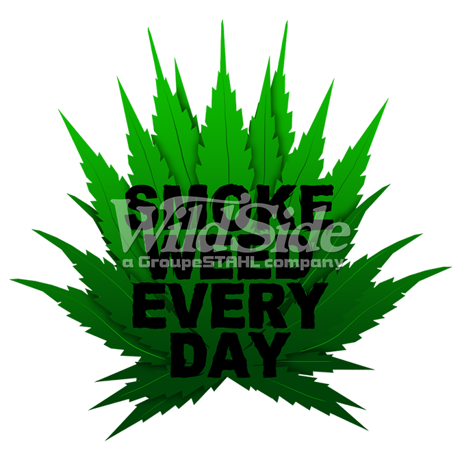 Snoop dogg скачать песни smoke weed everyday
