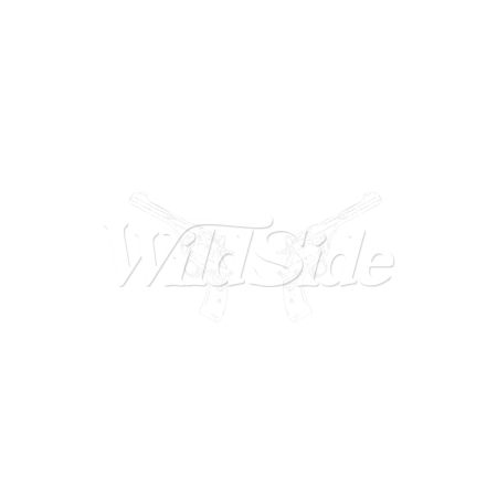 18576-a THE 2ND AMENDMENT GUNS DON'T CAUSE CRIME