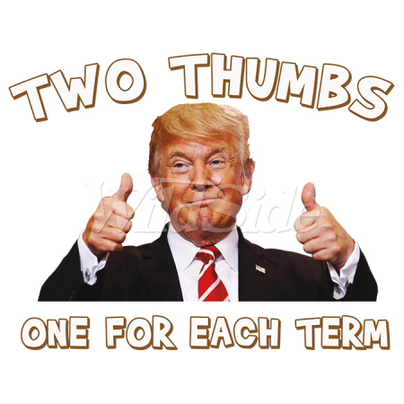 TWO THUMBS UP TRUMP STOCK TRANSFER TWO THUMBS UP TRUMP STOCK TRANSFER