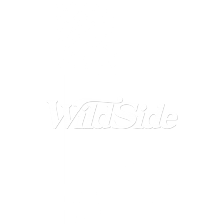 FAITH FLAG STOCK TRANSFER FAITH FLAG STOCK TRANSFER