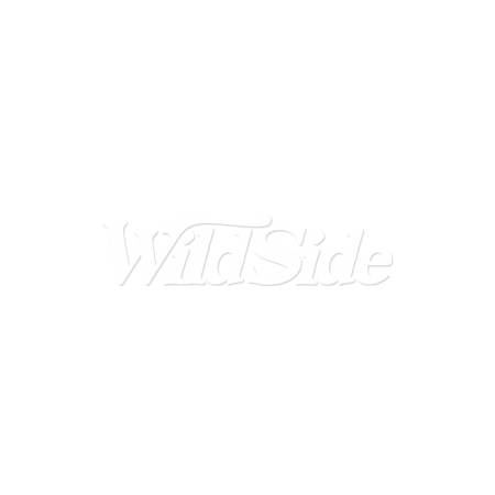 JESUS SAVES STOCK TRANSFER JESUS SAVES STOCK TRANSFER