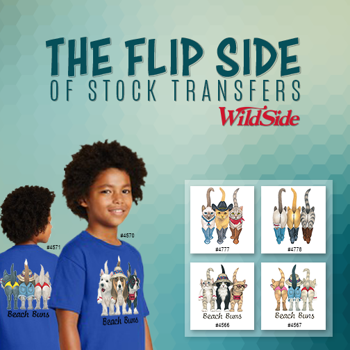 front-back-stock-transfers-1