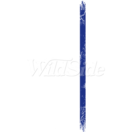 BLUE LINE DISTRESS US FLAG W/PKT STOCK TRANSFER BLUE LINE DISTRESS US FLAG W/PKT STOCK TRANSFER