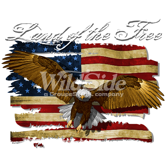 Land Of The Free - U.S. flag with Eagle "eagle, Flag, free, freedom, land, land of the free, Plastisol Transfer, u.s., u.s. flag, united states, Patriotism" Land Of The Free - U.S. flag with Eagle "eagle, Flag, free, freedom, land, land of the free, Plastisol Transfer, u.s., u.s. flag, united states, Patriotism"