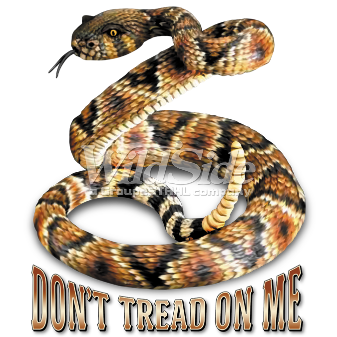 don t tread on me rattlesnake the wild side